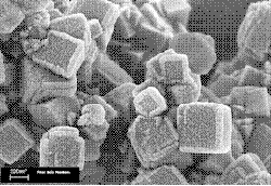 Zeolite Catalyst Crystals